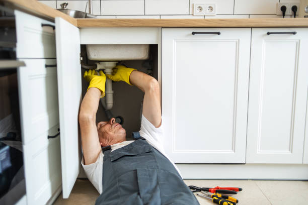 Best Residential Plumbing Services  in Lochmoor Waterway Estates, FL